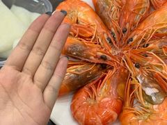 -蚝专家(北滘店)