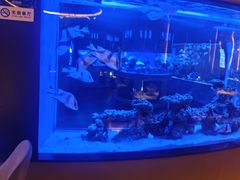 -上和臻品中国菜(花园街店)