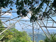 -阳台山森林公园