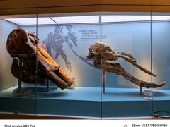 -国家自然博物馆