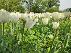 -国家植物园南园