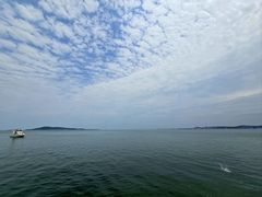 -悦海公园
