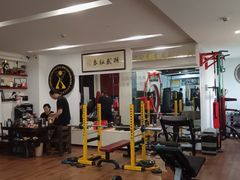 -温鉴良实用咏春拳