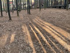 -陶祖圣境风景区