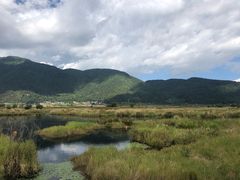 -腾冲北海湿地