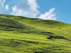 -灵山