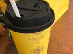 -东镇老火锅(城阳瑞阳路店)