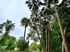 -中国科学院西双版纳热带植物园