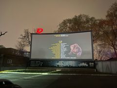 -枫花园汽车电影院(朝阳公园店)