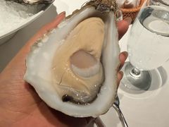 -Oyster Talks 四度蚝法餐厅