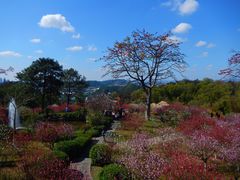 -广州莲花山旅游区