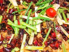 -老板恋上鱼(恒隆广场店)