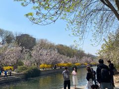 -元大都城垣遗址公园