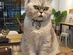 -Oasis绿洲银饰珍珠手作diy(壹方城店)