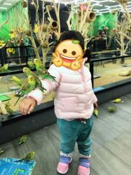 -未来动物城主题公园(正弘城店)