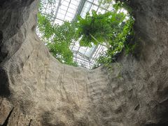 -南山植物园