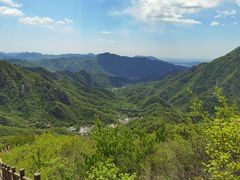 -大岭沟猕猴桃谷风景区