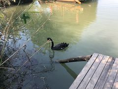 -长兴太湖图影湿地文化园