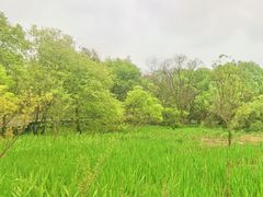 -西湖风景区-江洋畈生态公园