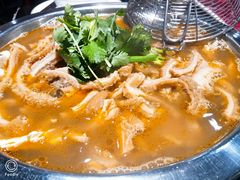 -古乐牛香·鲜牛肉牛杂火锅(五一中路店)