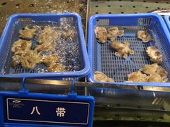 -蓝海大饭店·渔歌舫(黄岛店)