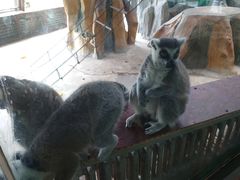 -鄂尔多斯野生动物园