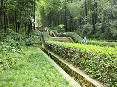-青龙山国家森林公园