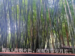 -云溪植物园