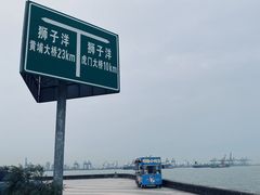 -海鸥岛