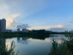 -广东花都湖国家湿地公园