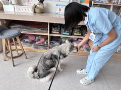 -谐和贝康宠物医院24小时·宠保定点(急重症转诊中心)