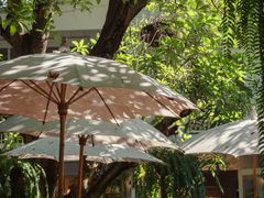 -Fern Forest Cafe