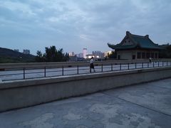 -武汉大学-樱园