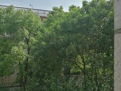 -上海市长宁区天山中医医院