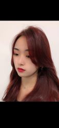 -爱维丽