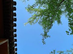 -春风习习