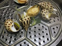 野生大花螺（特价）-海大大蒸汽海鲜餐厅·粤菜·特色小炒(欢乐颂店)