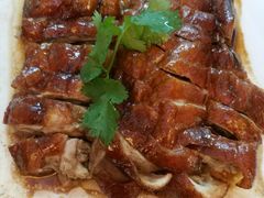 -锦粤宫·精致粤菜(深圳北站店)