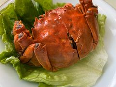 花雕蟹-金典银峰老鹅馆(花园路店)