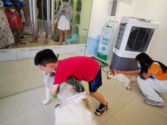 -怪兽屋·羊驼·猫咖·狗咖(俊华广场店)