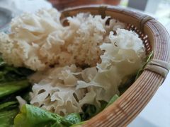 -菌子鲜汤野生菌锅