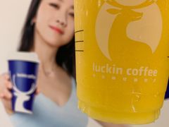 -瑞幸咖啡(泉州中骏世界城金街店)