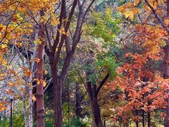 -长春世界雕塑园冰雪艺术天地