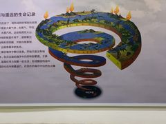 -中国第四纪冰川遗迹陈列馆