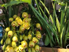 -春暖花开(西溪店)