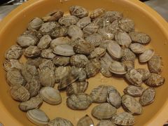 -龍歌自助小火锅(李沧丽达店)