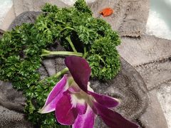 -凤来栖·净庭院·火锅(欧尚店)