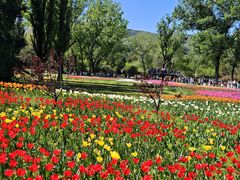 -国家植物园南园