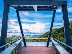 -阳台山森林公园