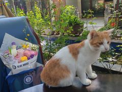 -美炉村·58花园·烤全羊·北京烤鸭